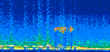 /calipso-imagery/data/BROWSE/production/V5-00/2008-11-14/2008-11-14_20-41-22_V5.00_3_thmb.png image missing
