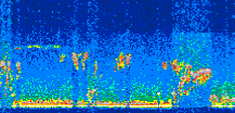 /calipso-imagery/data/BROWSE/production/V5-00/2008-11-14/2008-11-14_23-59-07_V5.00_3_thmb.png image missing