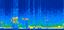 /calipso-imagery/data/BROWSE/production/V5-00/2008-11-16/2008-11-16_02-21-16_V5.00_2_thmb.png image missing