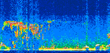 /calipso-imagery/data/BROWSE/production/V5-00/2008-11-16/2008-11-16_04-00-06_V5.00_3_thmb.png image missing