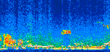 /calipso-imagery/data/BROWSE/production/V5-00/2008-11-16/2008-11-16_08-56-47_V5.00_2_thmb.png image missing