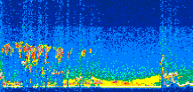 /calipso-imagery/data/BROWSE/production/V5-00/2008-11-16/2008-11-16_08-56-47_V5.00_3_thmb.png image missing