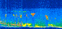 /calipso-imagery/data/BROWSE/production/V5-00/2008-11-16/2008-11-16_12-14-32_V5.00_3_thmb.png image missing