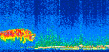 /calipso-imagery/data/BROWSE/production/V5-00/2008-11-16/2008-11-16_20-28-53_V5.00_2_thmb.png image missing