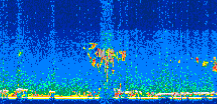/calipso-imagery/data/BROWSE/production/V5-00/2008-11-16/2008-11-16_22-07-48_V5.00_3_thmb.png image missing