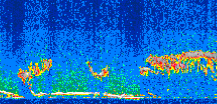 /calipso-imagery/data/BROWSE/production/V5-00/2008-11-17/2008-11-17_01-25-34_V5.00_2_thmb.png image missing