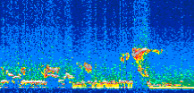 /calipso-imagery/data/BROWSE/production/V5-00/2008-11-17/2008-11-17_03-04-24_V5.00_2_thmb.png image missing