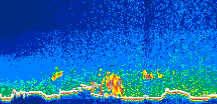 /calipso-imagery/data/BROWSE/production/V5-00/2008-11-17/2008-11-17_04-43-19_V5.00_1_thmb.png image missing