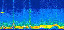/calipso-imagery/data/BROWSE/production/V5-00/2008-11-17/2008-11-17_09-40-00_V5.00_3_thmb.png image missing