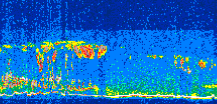 /calipso-imagery/data/BROWSE/production/V5-00/2008-11-17/2008-11-17_11-18-50_V5.00_3_thmb.png image missing