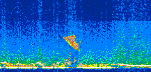 /calipso-imagery/data/BROWSE/production/V5-00/2008-11-17/2008-11-17_21-12-06_V5.00_3_thmb.png image missing