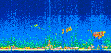 /calipso-imagery/data/BROWSE/production/V5-00/2008-11-17/2008-11-17_22-50-57_V5.00_3_thmb.png image missing