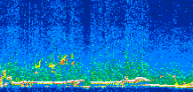 /calipso-imagery/data/BROWSE/production/V5-00/2008-11-18/2008-11-18_05-26-27_V5.00_2_thmb.png image missing