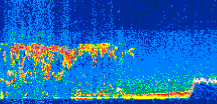 /calipso-imagery/data/BROWSE/production/V5-00/2008-11-18/2008-11-18_07-05-23_V5.00_3_thmb.png image missing