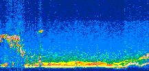 /calipso-imagery/data/BROWSE/production/V5-00/2008-11-18/2008-11-18_08-44-18_V5.00_3_thmb.png image missing