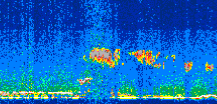 /calipso-imagery/data/BROWSE/production/V5-00/2008-11-18/2008-11-18_20-16-24_V5.00_3_thmb.png image missing