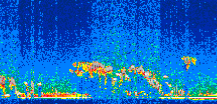 /calipso-imagery/data/BROWSE/production/V5-00/2008-11-19/2008-11-19_01-13-05_V5.00_2_thmb.png image missing