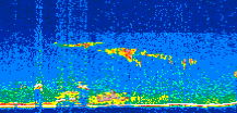 /calipso-imagery/data/BROWSE/production/V5-00/2008-11-19/2008-11-19_12-45-12_V5.00_3_thmb.png image missing