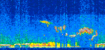 /calipso-imagery/data/BROWSE/production/V5-00/2008-11-19/2008-11-19_14-24-07_V5.00_3_thmb.png image missing