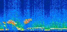 /calipso-imagery/data/BROWSE/production/V5-00/2008-11-19/2008-11-19_19-20-43_V5.00_2_thmb.png image missing