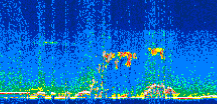 /calipso-imagery/data/BROWSE/production/V5-00/2008-11-19/2008-11-19_19-20-43_V5.00_3_thmb.png image missing