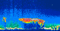 /calipso-imagery/data/BROWSE/production/V5-00/2008-11-19/2008-11-19_20-59-38_V5.00_4_thmb.png image missing