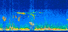 /calipso-imagery/data/BROWSE/production/V5-00/2008-11-20/2008-11-20_01-56-18_V5.00_3_thmb.png image missing
