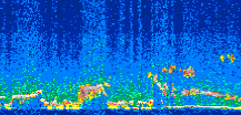 /calipso-imagery/data/BROWSE/production/V5-00/2008-11-20/2008-11-20_05-14-04_V5.00_2_thmb.png image missing