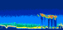 /calipso-imagery/data/BROWSE/production/V5-00/2008-11-20/2008-11-20_07-45-34_V5.00_2_thmb.png image missing
