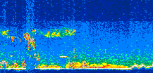 /calipso-imagery/data/BROWSE/production/V5-00/2008-11-20/2008-11-20_08-31-49_V5.00_3_thmb.png image missing