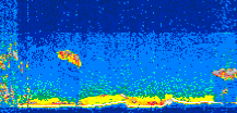 /calipso-imagery/data/BROWSE/production/V5-00/2008-11-20/2008-11-20_10-10-40_V5.00_3_thmb.png image missing