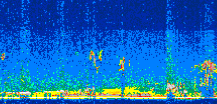 /calipso-imagery/data/BROWSE/production/V5-00/2008-11-20/2008-11-20_15-07-20_V5.00_3_thmb.png image missing