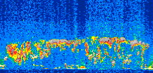 /calipso-imagery/data/BROWSE/production/V5-00/2008-11-21/2008-11-21_02-39-27_V5.00_2_thmb.png image missing