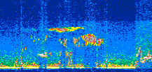/calipso-imagery/data/BROWSE/production/V5-00/2008-11-21/2008-11-21_02-39-27_V5.00_3_thmb.png image missing