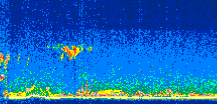 /calipso-imagery/data/BROWSE/production/V5-00/2008-11-21/2008-11-21_15-50-34_V5.00_3_thmb.png image missing