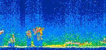 /calipso-imagery/data/BROWSE/production/V5-00/2008-11-21/2008-11-21_17-29-24_V5.00_2_thmb.png image missing
