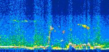 /calipso-imagery/data/BROWSE/production/V5-00/2008-11-21/2008-11-21_19-08-19_V5.00_3_thmb.png image missing