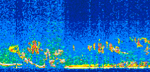 /calipso-imagery/data/BROWSE/production/V5-00/2008-11-21/2008-11-21_22-26-04_V5.00_2_thmb.png image missing