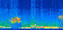 /calipso-imagery/data/BROWSE/production/V5-00/2008-11-23/2008-11-23_00-48-08_V5.00_2_thmb.png image missing