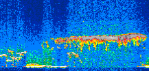/calipso-imagery/data/BROWSE/production/V5-00/2008-11-23/2008-11-23_02-27-03_V5.00_2_thmb.png image missing