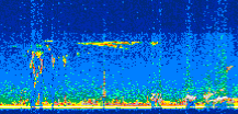 /calipso-imagery/data/BROWSE/production/V5-00/2008-11-23/2008-11-23_02-27-03_V5.00_3_thmb.png image missing