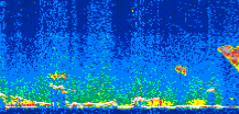 /calipso-imagery/data/BROWSE/production/V5-00/2008-11-23/2008-11-23_04-05-53_V5.00_2_thmb.png image missing