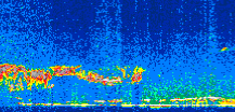 /calipso-imagery/data/BROWSE/production/V5-00/2008-11-23/2008-11-23_07-23-39_V5.00_2_thmb.png image missing