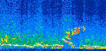 /calipso-imagery/data/BROWSE/production/V5-00/2008-11-23/2008-11-23_13-59-15_V5.00_2_thmb.png image missing