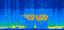 /calipso-imagery/data/BROWSE/production/V5-00/2008-11-23/2008-11-23_13-59-15_V5.00_3_thmb.png image missing
