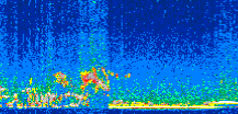 /calipso-imagery/data/BROWSE/production/V5-00/2008-11-23/2008-11-23_18-55-50_V5.00_2_thmb.png image missing
