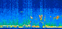/calipso-imagery/data/BROWSE/production/V5-00/2008-11-23/2008-11-23_20-34-46_V5.00_3_thmb.png image missing