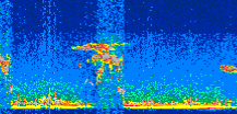 /calipso-imagery/data/BROWSE/production/V5-00/2008-11-25/2008-11-25_00-35-44_V5.00_3_thmb.png image missing