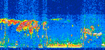 /calipso-imagery/data/BROWSE/production/V5-00/2008-11-25/2008-11-25_03-53-30_V5.00_3_thmb.png image missing