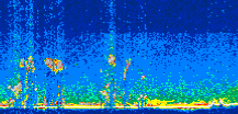 /calipso-imagery/data/BROWSE/production/V5-00/2008-11-25/2008-11-25_08-50-05_V5.00_3_thmb.png image missing